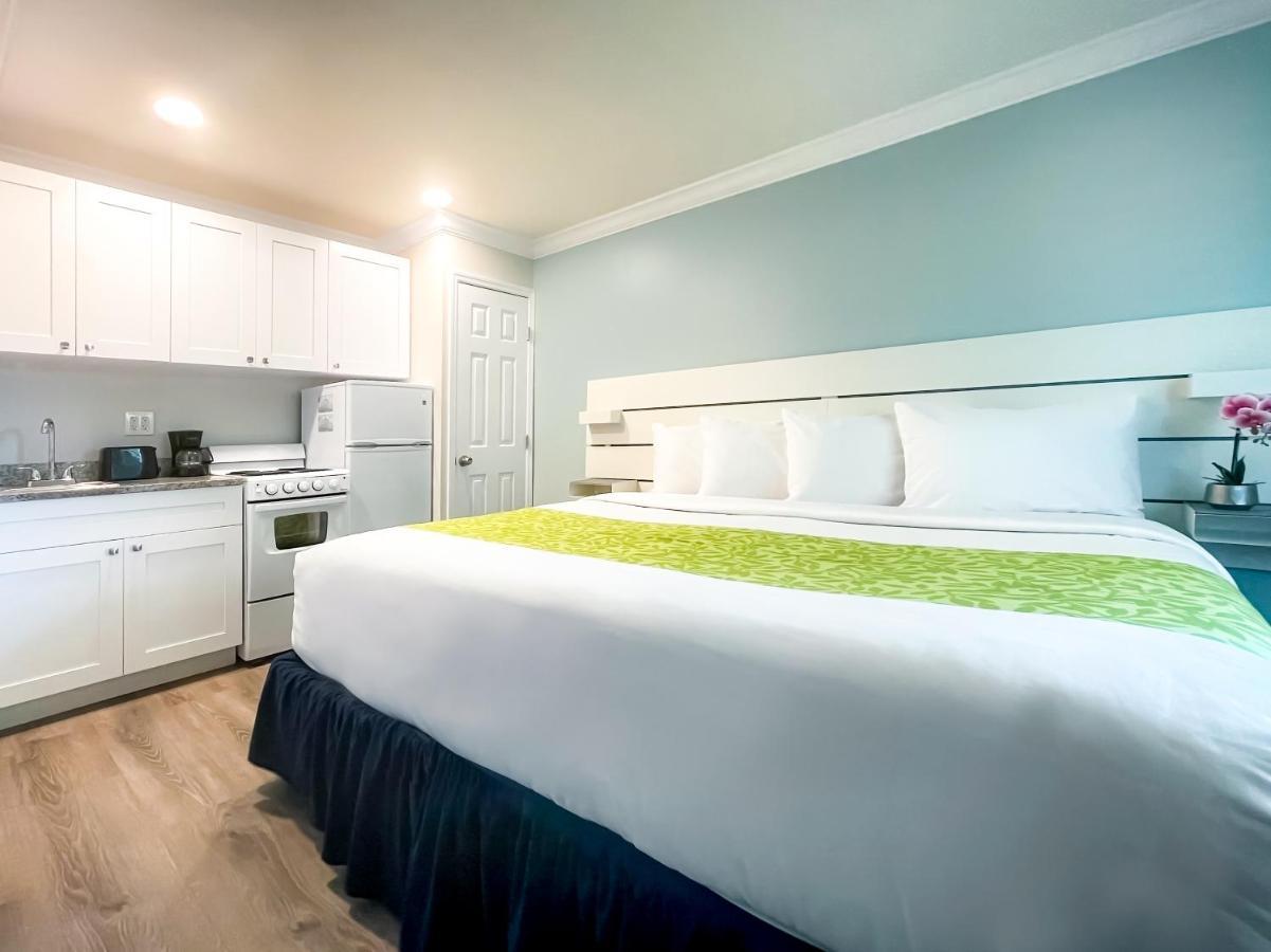The Clevelander Hotel Hollywood Bagian luar foto